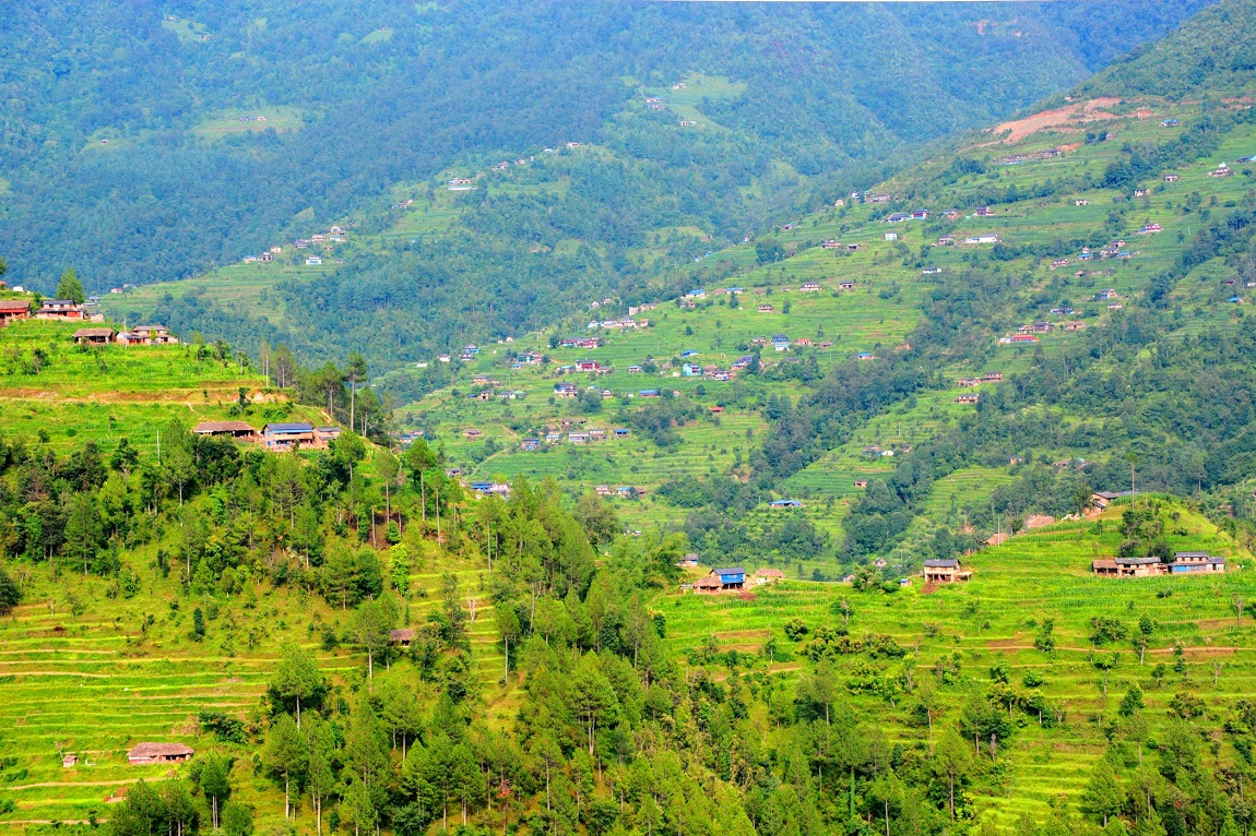 आजका तस्बिर- भदौ ६