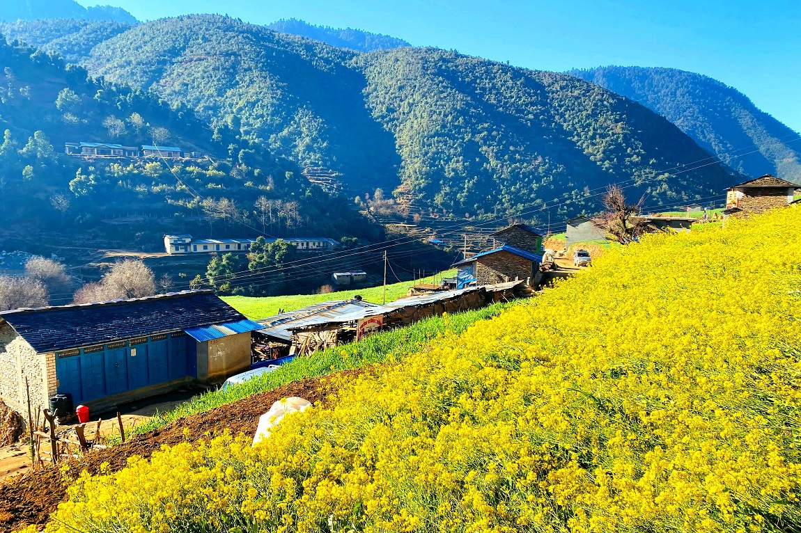 आजका तस्बिर- फागुन ४