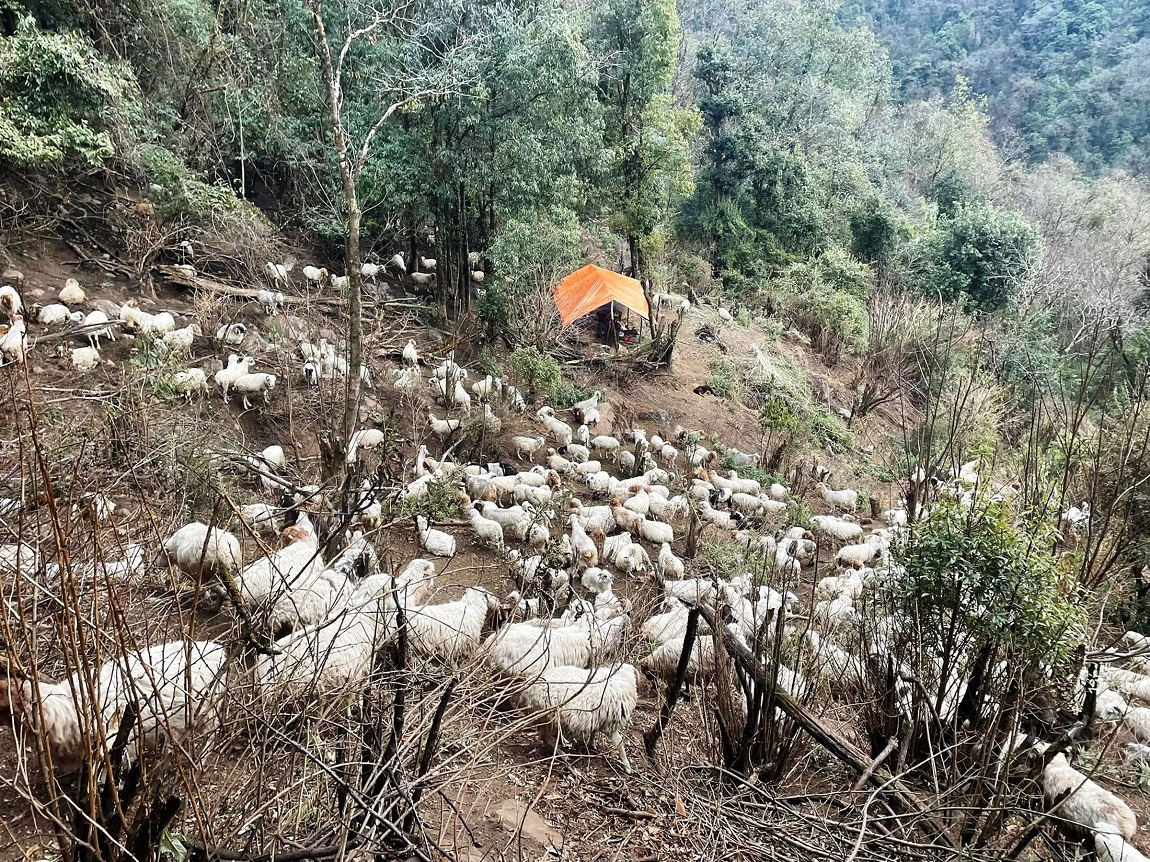 आजका तस्बिरहरू-माघ १७