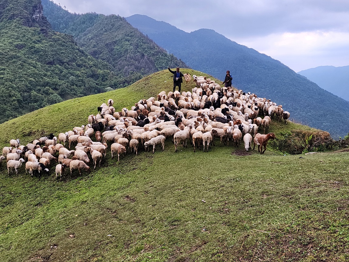 आजका तस्बिर: जेठ ३०