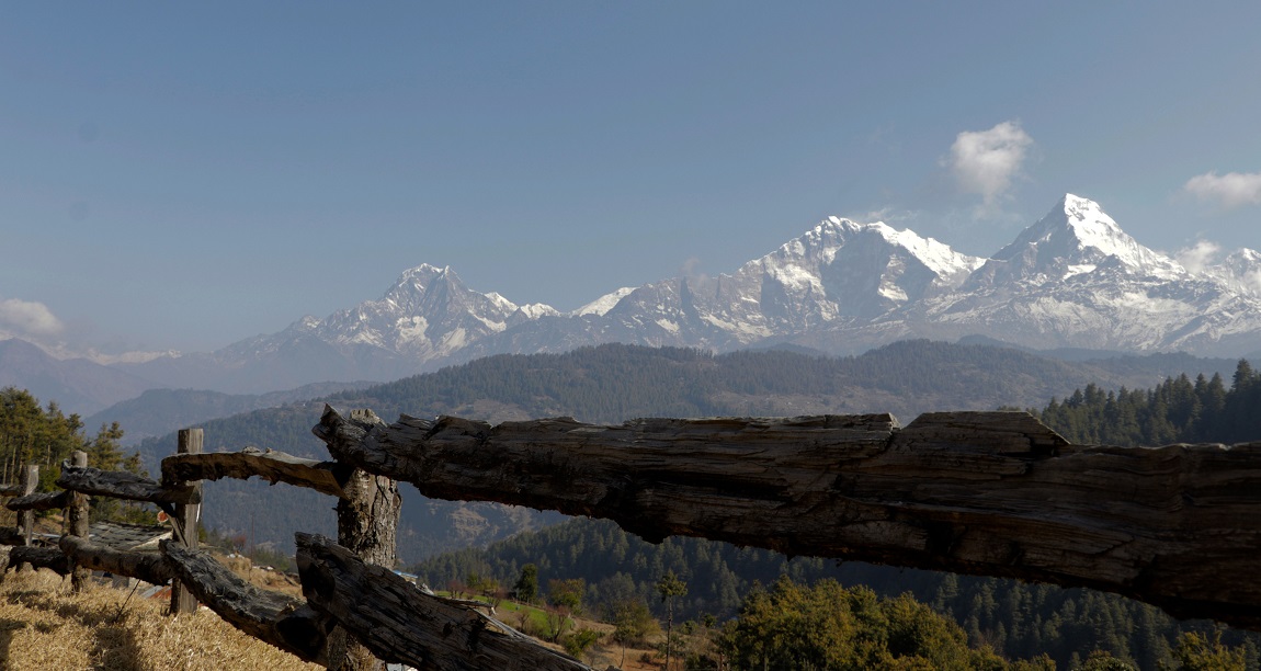 आजका तस्बिर: भदौ १३