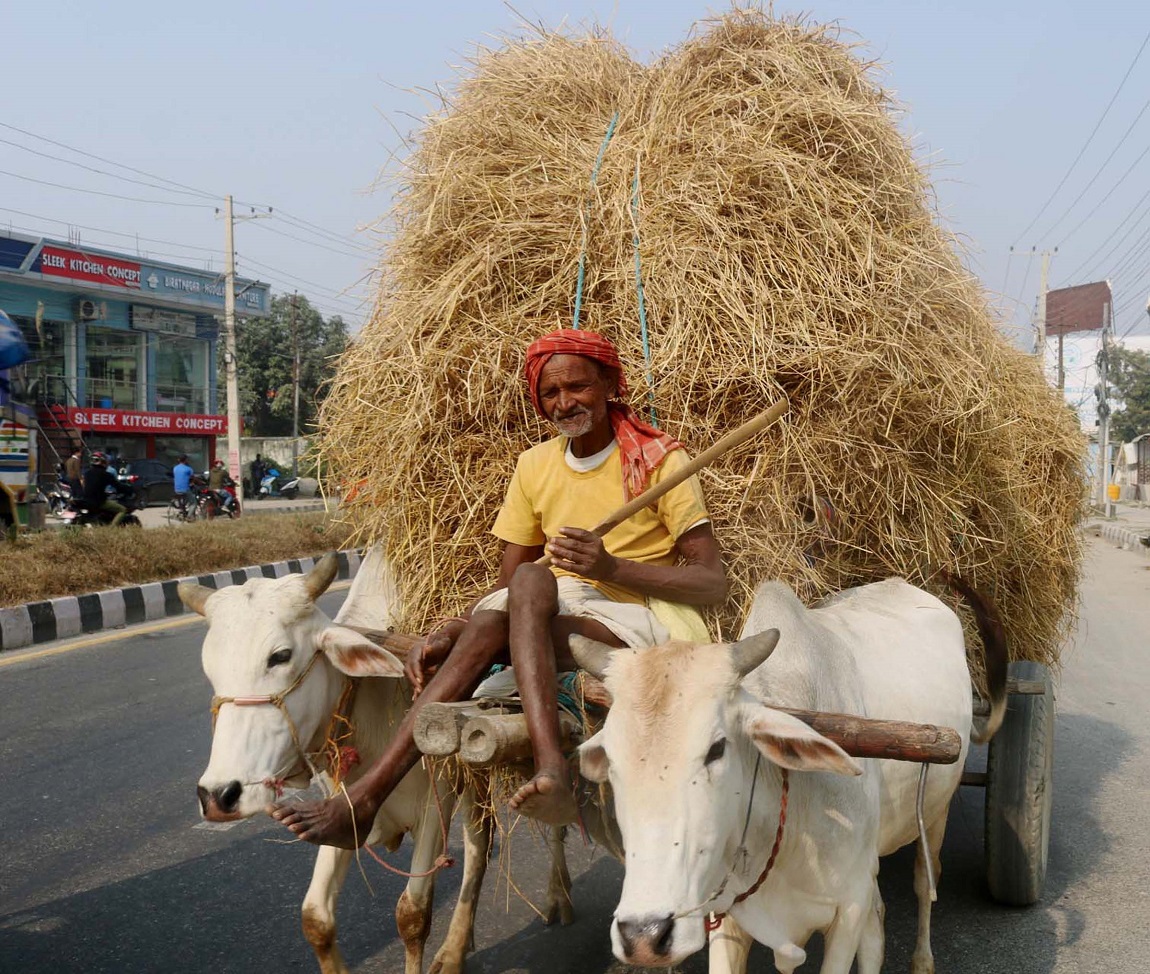 आजका तस्बिर- पुस २