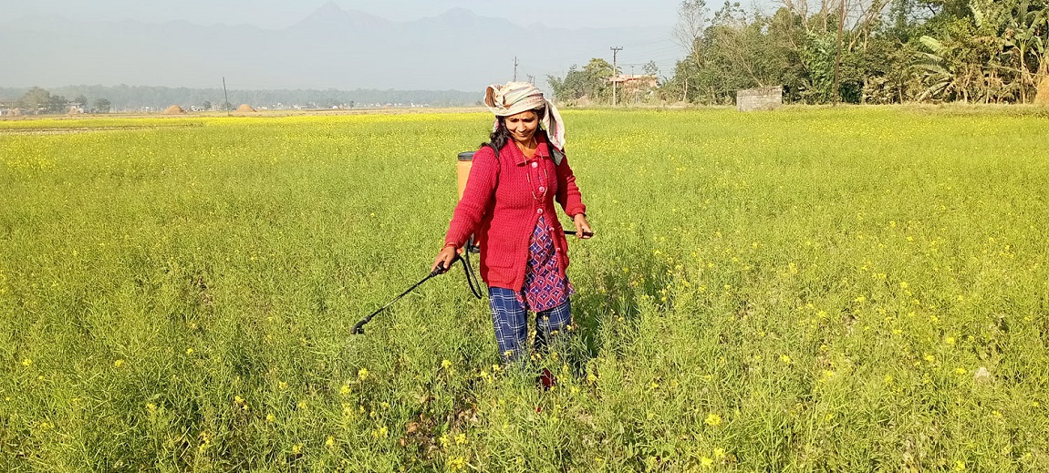 आजका तस्बिर- पुस २२