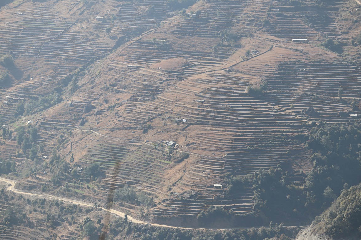 आजका तस्बिर- फागुन ११