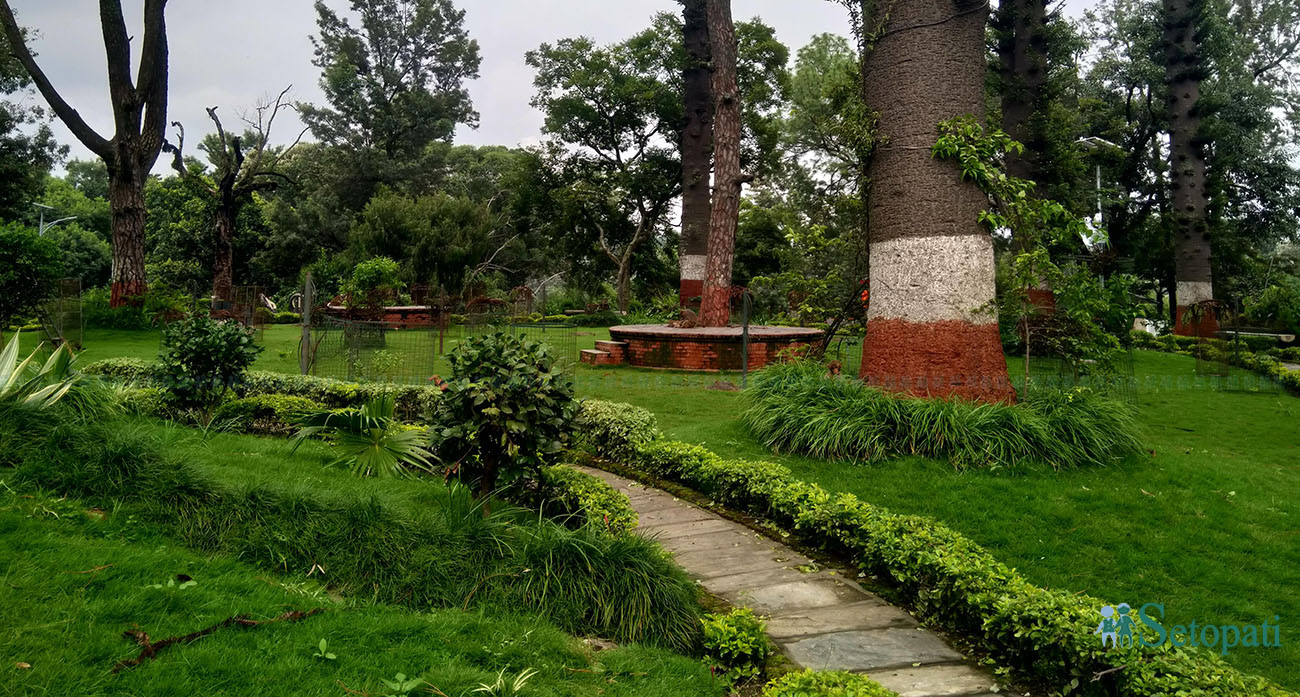 सिमेन्टको बाटोले ‘सम्पदा सूचीबाटै हट्नसक्छ’ पशुपति क्षेत्र