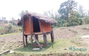 सुर्खेतमा ४ वर्षपछि फेरि फर्कियो छाउपडी प्रथा