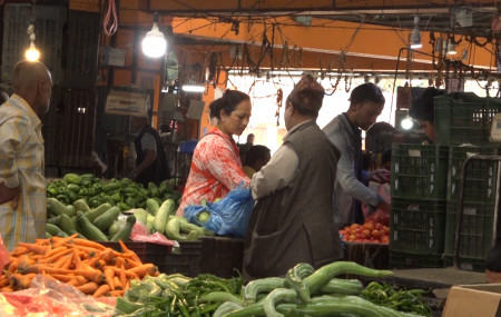 फाइल तस्बिर।