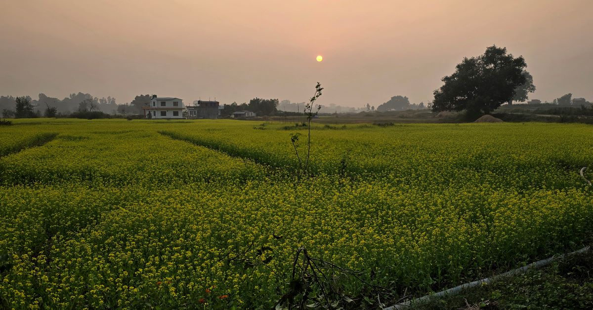 आजका तस्बिर- कात्तिक २४