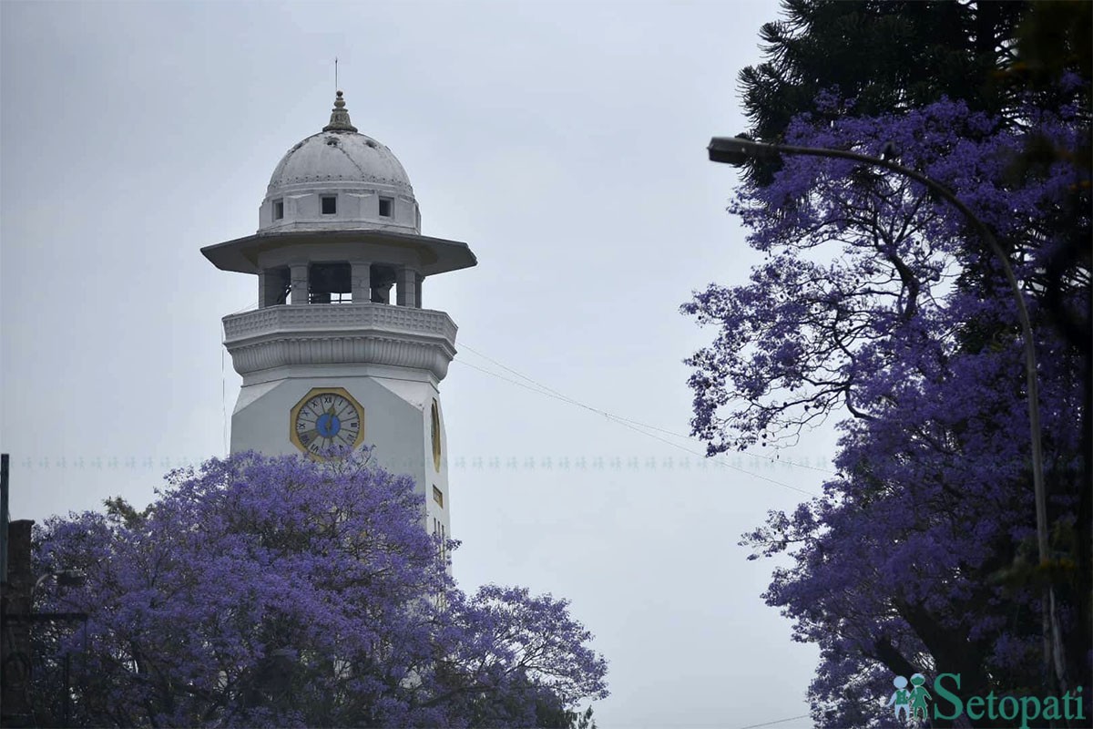 आजका तस्बिरहरू- वैशाख २०