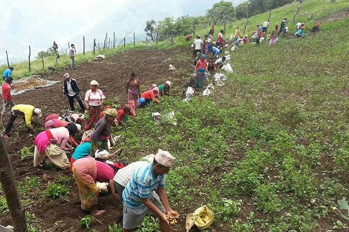 आजका तस्बिरहरू- जेठ ३०