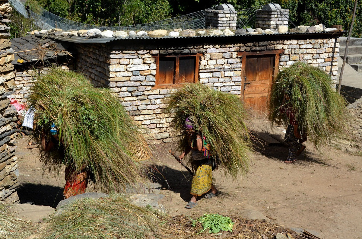 आजका तस्बिरहरू कात्तिक १४