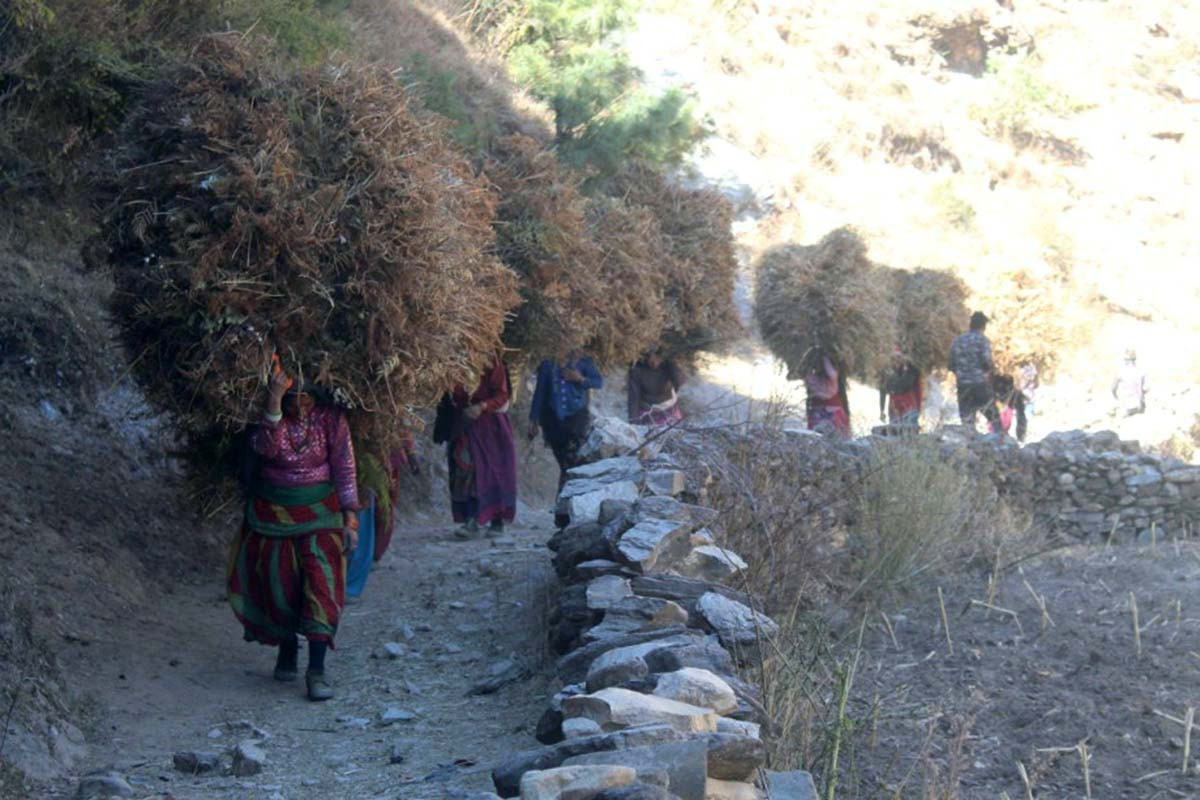 आजका तस्बिरहरू कात्तिक २६