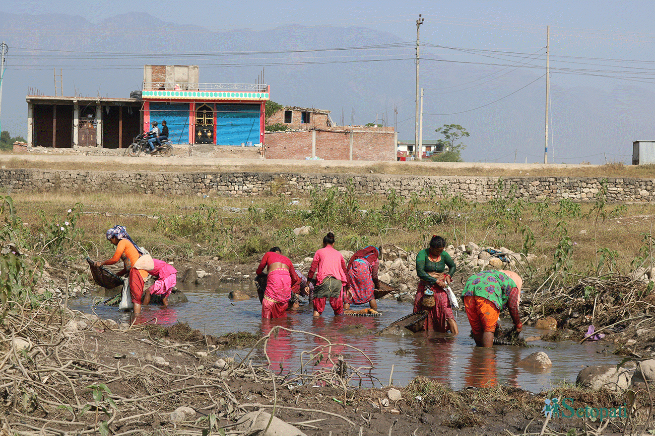 आजका तस्बिरहरूः कात्तिक ३०