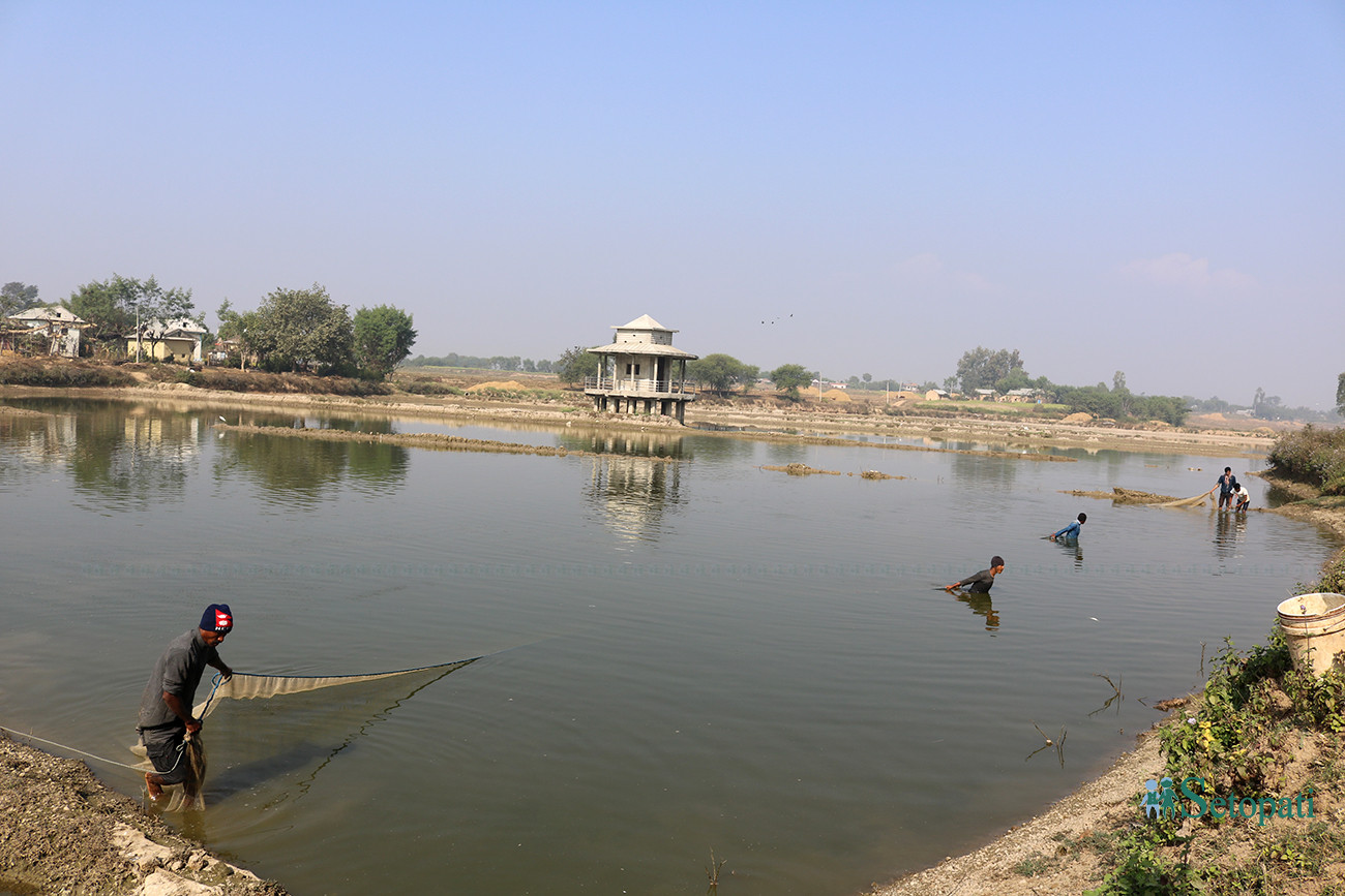 आजका तस्वीर मंसिर १८