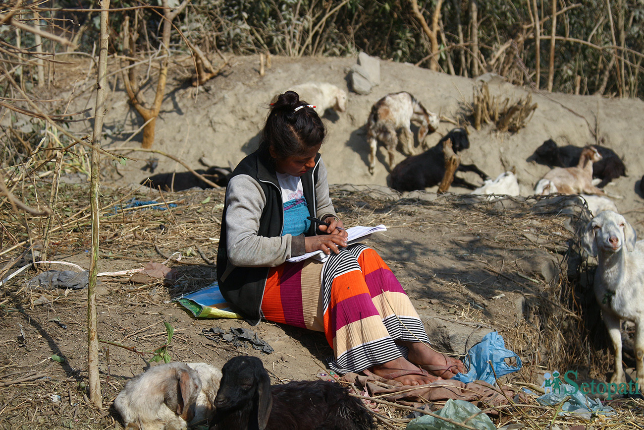 आजका तस्बिरहरू- पुस १९