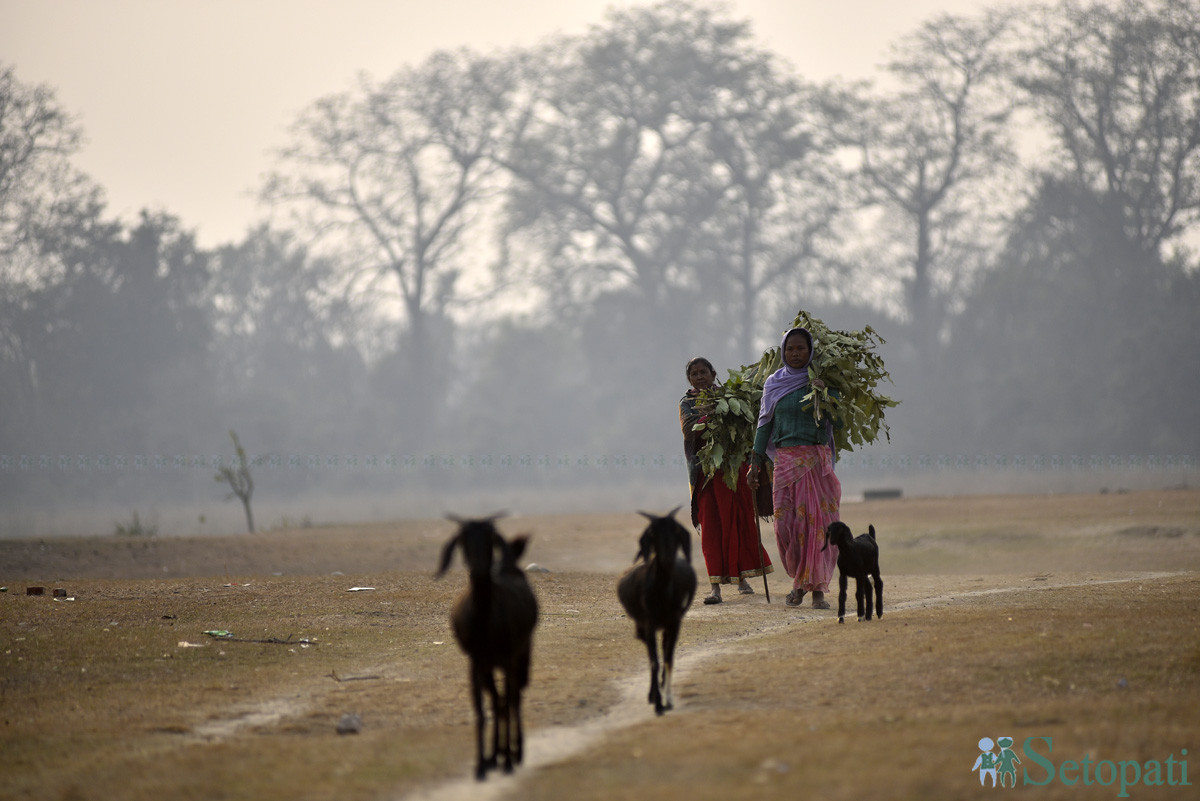 आजका तस्बिरहरू- माघ २