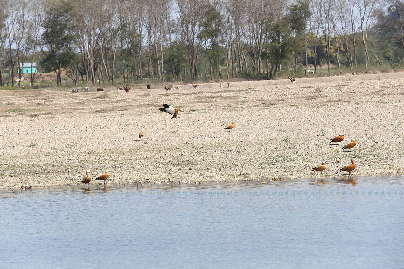 आजका तस्बिरहरू- फागुन १६