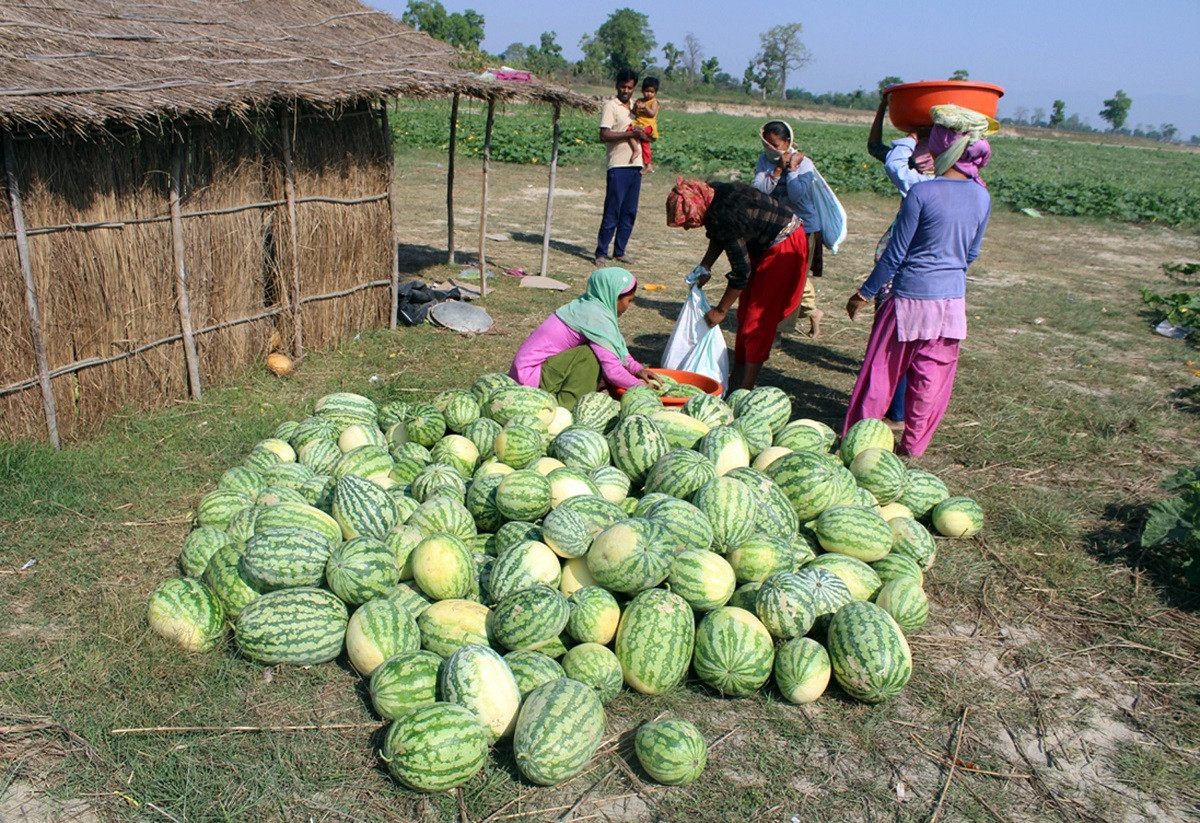 आजका तस्बिरहरू वैशाख ९