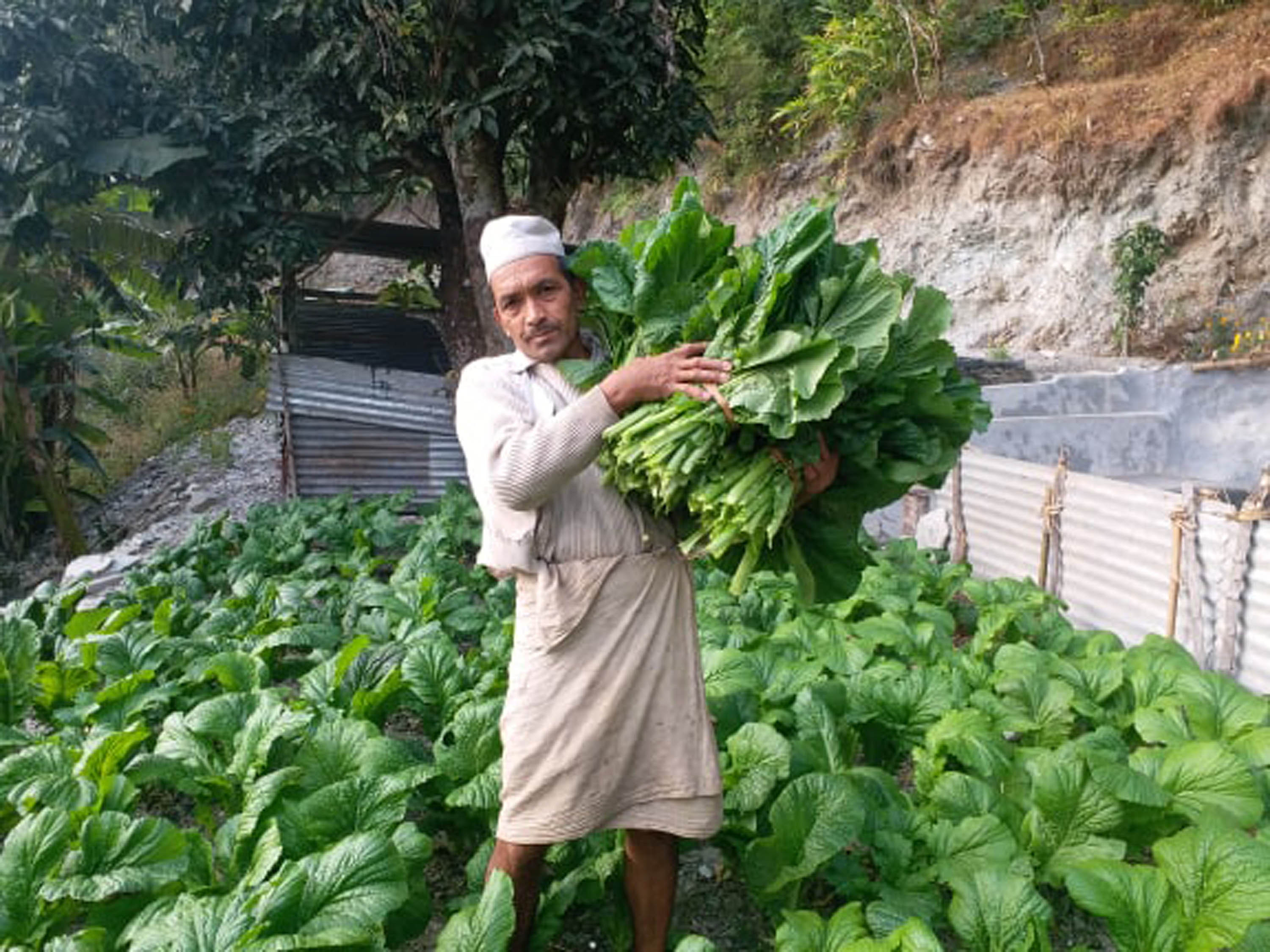 आजका तस्बिरहरू- वैशाख १८