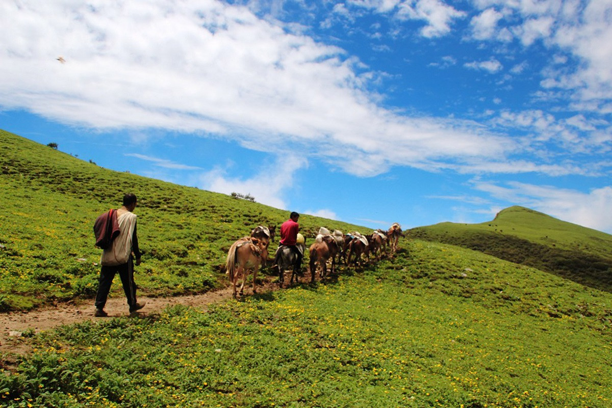 आजका तस्बिरहरू भदौ ९