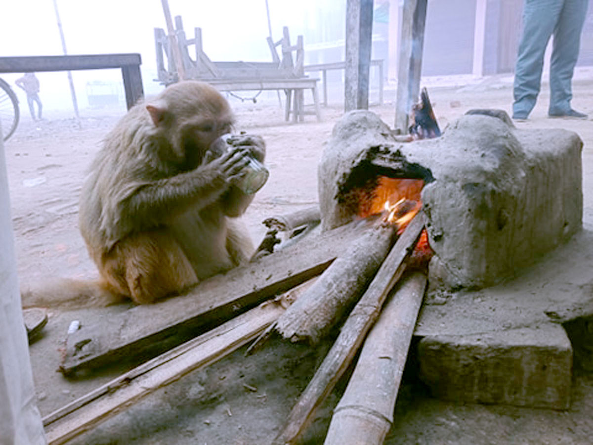 आजका तस्बिरहरू माघ १०