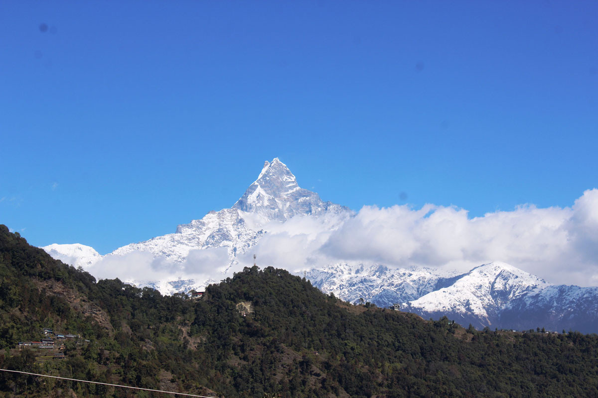 आजका तस्बिरहरू माघ १५