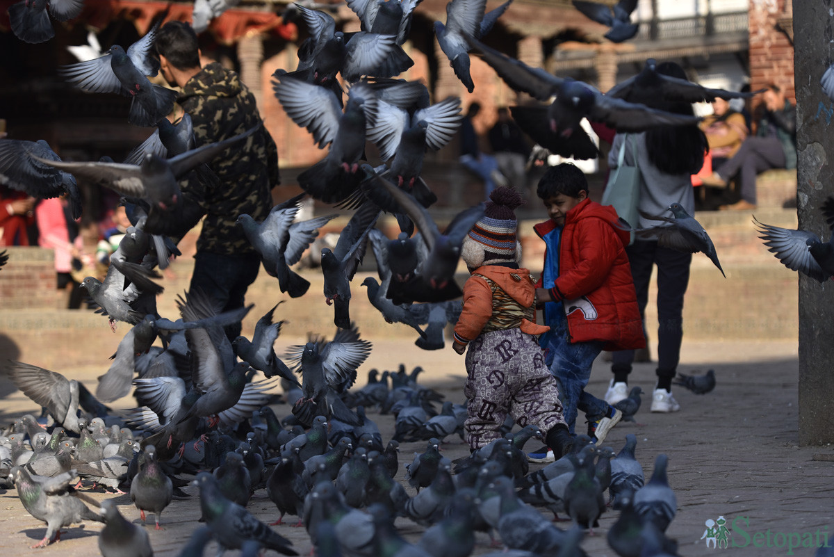 आजका तस्बिरहरू माघ २०