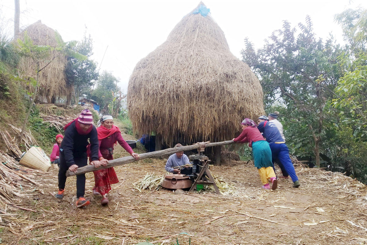 आजका तस्बिरहरू चैत ६