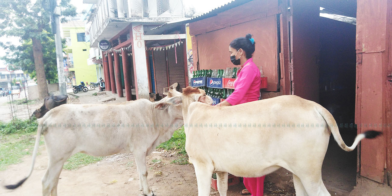 आजका तस्बिरहरू जेठ २२