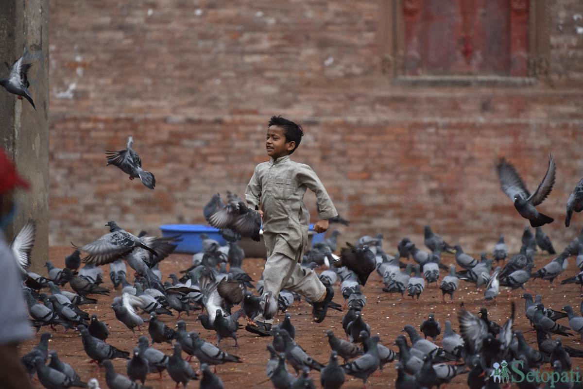 आजका तस्बिरहरू साउन ११