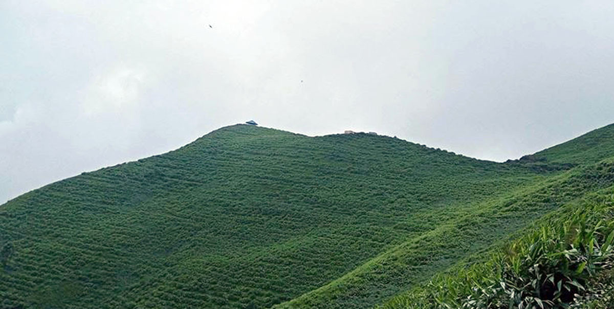 आजका तस्बिरहरू साउन २५