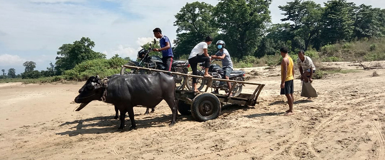 आजका तस्बिरहरू भदौ ११