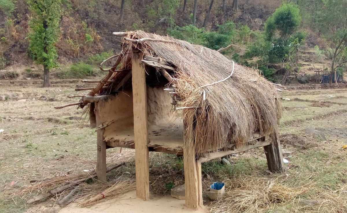 कैलालीको गोदावरी नगरपालिका १२ हलौडेमा रहेका छाउगोठ। सविता बुढा/ सेतोपाटी