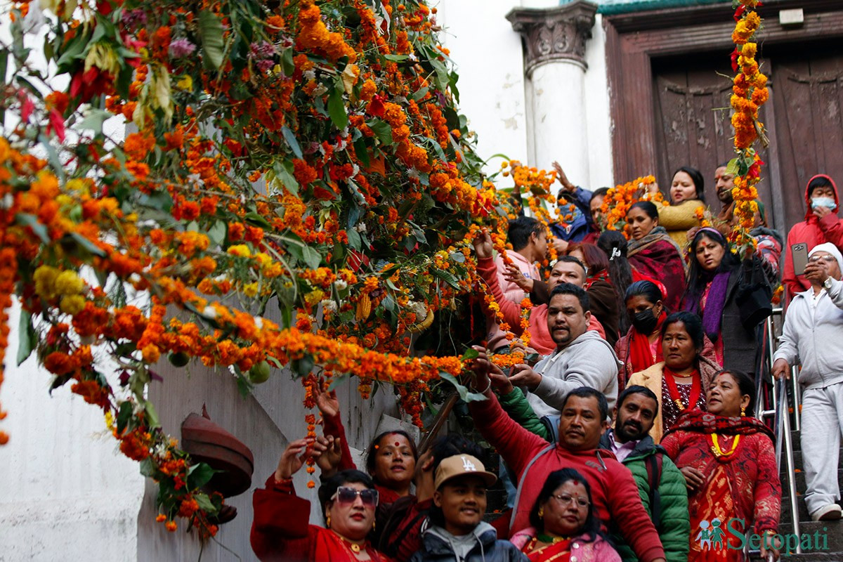 आजका तस्बिर- कात्तिक १८