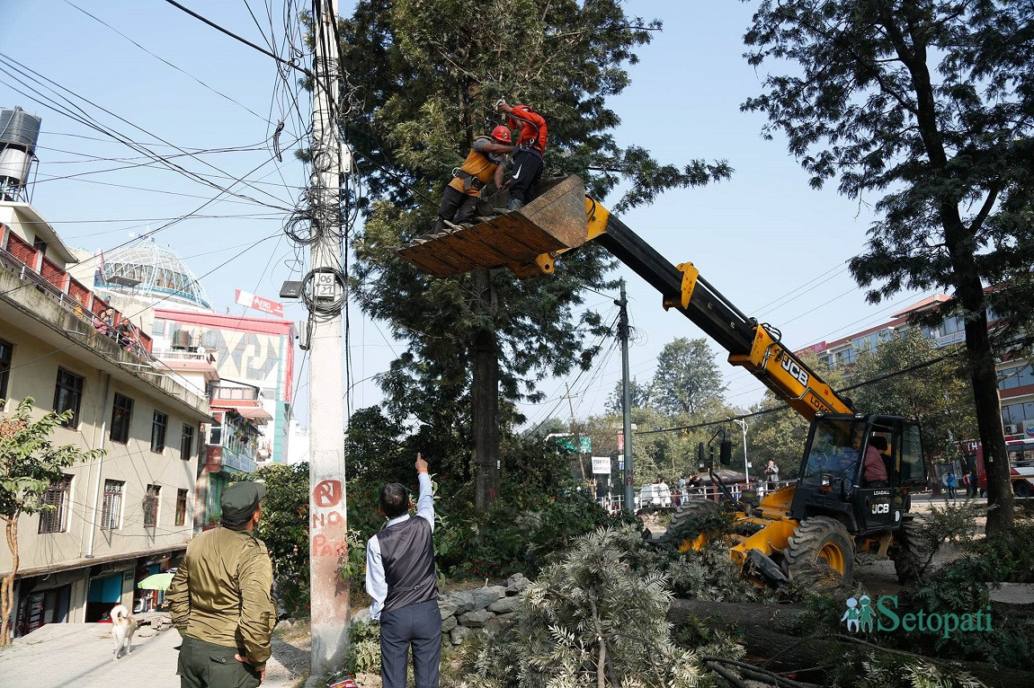 आजका तस्बिर- कात्तिक २९