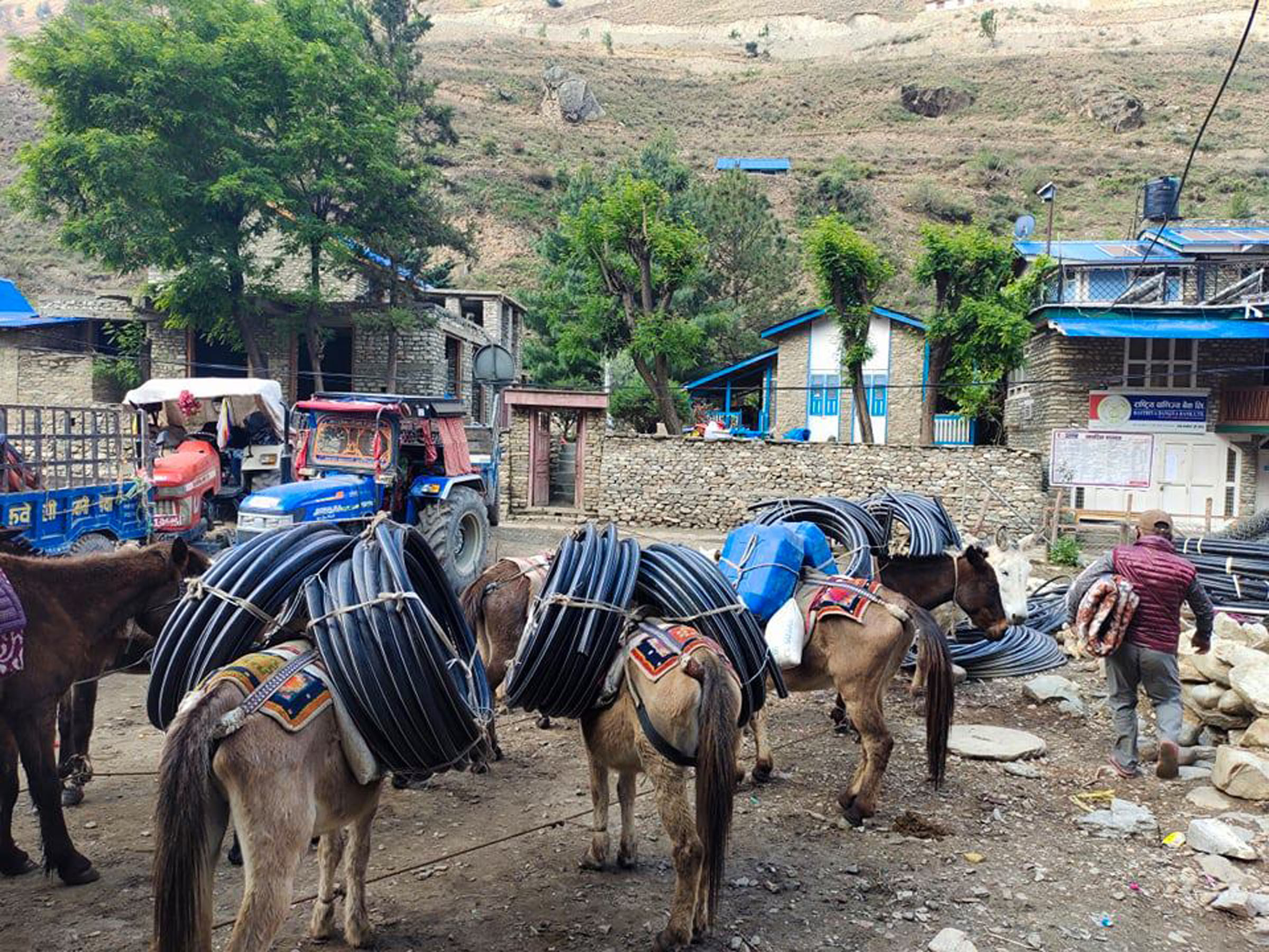 आजका तस्बिर जेठ ५