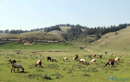 खप्तडको एक पाटन। तस्बिरः सेतोपाटी