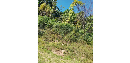 घटनास्थल।