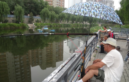 बेइजिङको एक पार्कमा पोखरीमा बल्छी हालिरहेका चिनियाँहरू। तस्बिरः चेतनाथ आचार्य