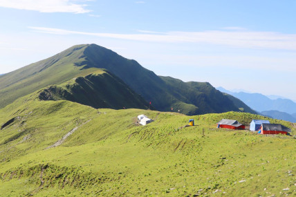 फाइल तस्बिर।