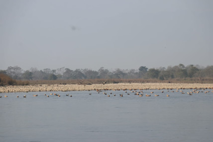 फाइल तस्बिर।