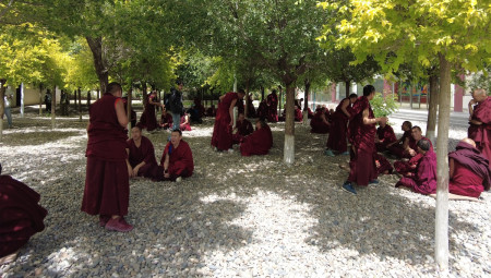 बगैंचामा सामूहिक बहस गर्दै भिक्षुहरू। तस्बिरः चेतनाथ आचार्य