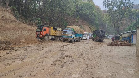 फाइल तस्बिर।