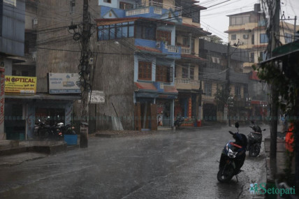 फाइल तस्बिर।