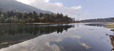 जिंगले तालको फाँटिलो भाग। फोटो: नरेन्द्र परियार