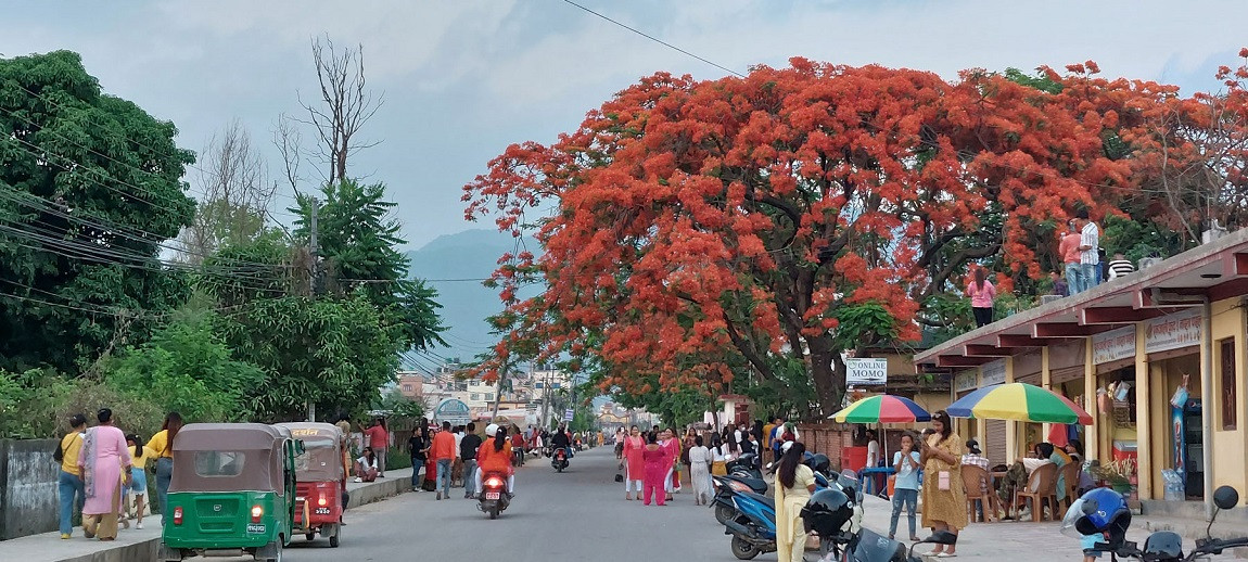 आजका तस्बिर-वैशाख २२