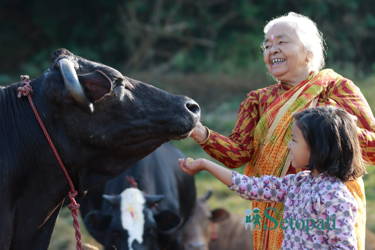 आजका तस्बिर कात्तिक १८