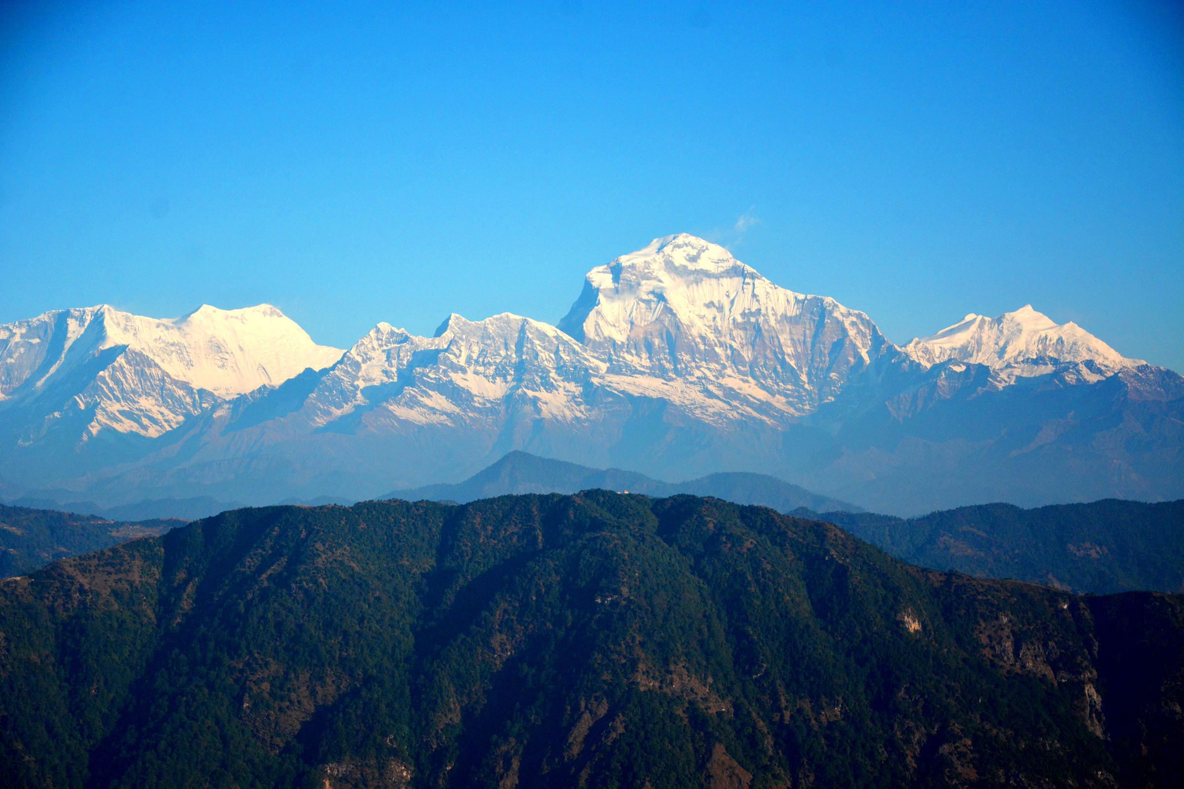 आजका तस्बिर पुस ३