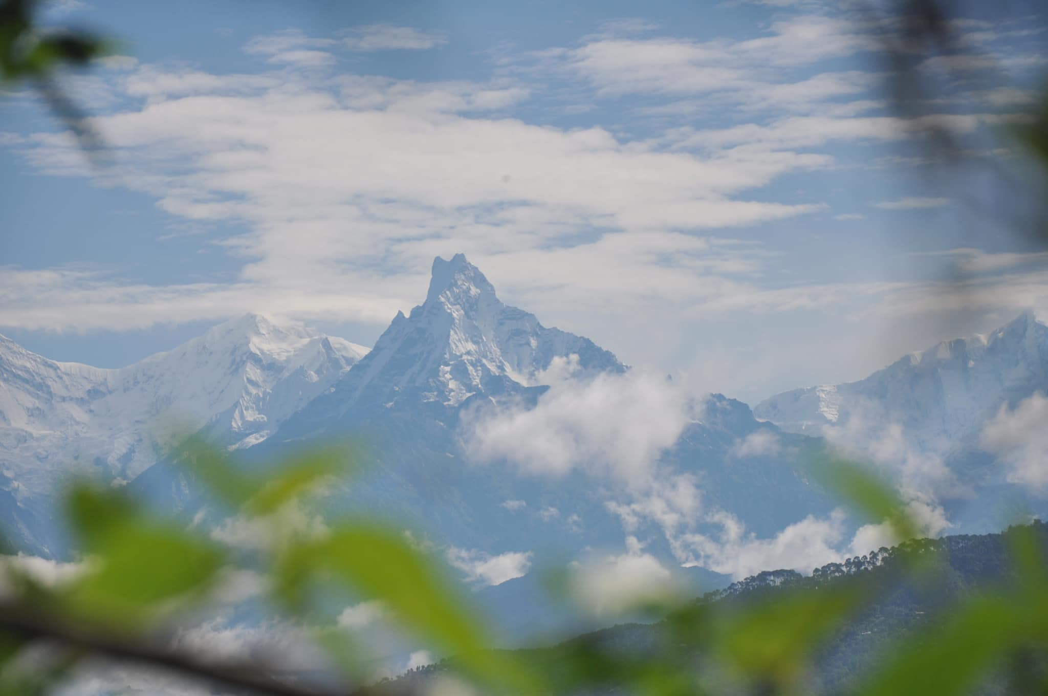 आजका तस्बिरहरू- असार २१