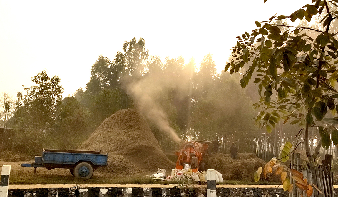 आजका तस्बिर- मंसिर १२